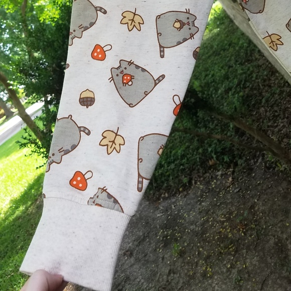 NWT Light Gray Pusheen Cat Fall-themed Sweatshirt - Picture 5 of 8